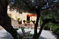 Sonnenbaden im Halbschatten unter den Olivenbumen vor Casa Cantagallo.